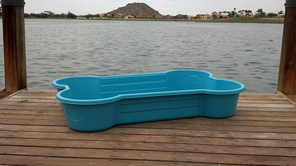 Dog top bone pool