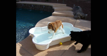 2 QTY Bone Pool™️and 1 QTY Paw Pool™️ Package by One Dog One Bone™️