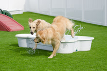 2 QTY Bone Pool™️and 1 QTY Paw Pool™️ Package by One Dog One Bone™️