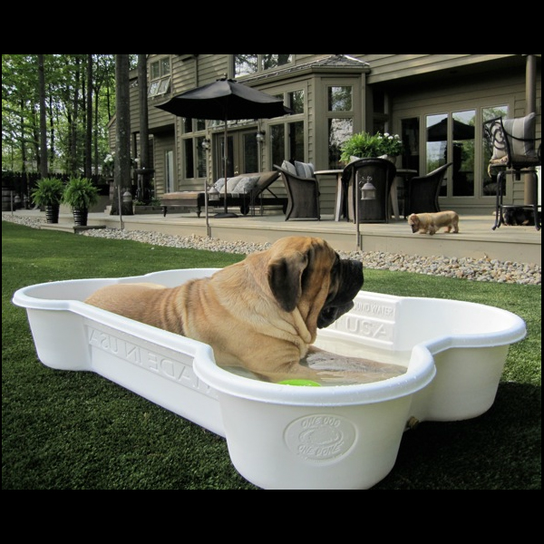 5 Bone Pools Package Dog Pools