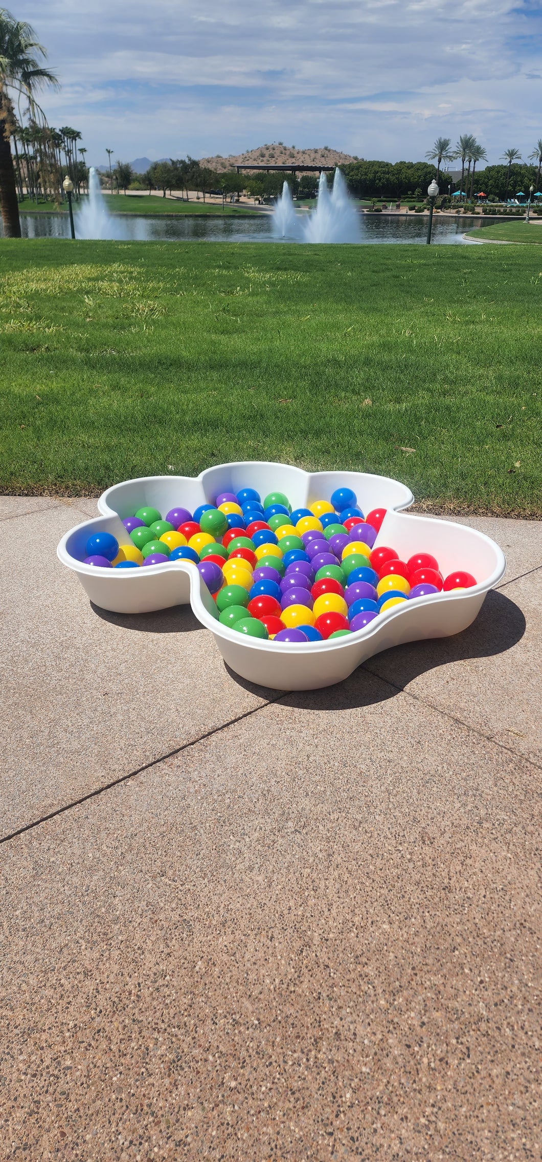 Add 100 QTY 3 Inch Pit Balls to Your Paw Pool Purchase 🔴🟡🟢🔵🟣